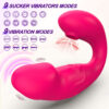 App controlled sucking vibrator